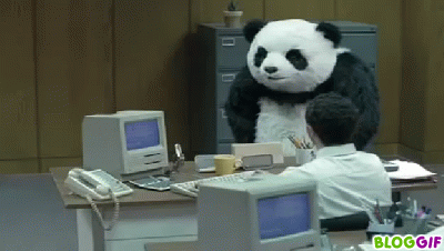 Panda Algoritması
